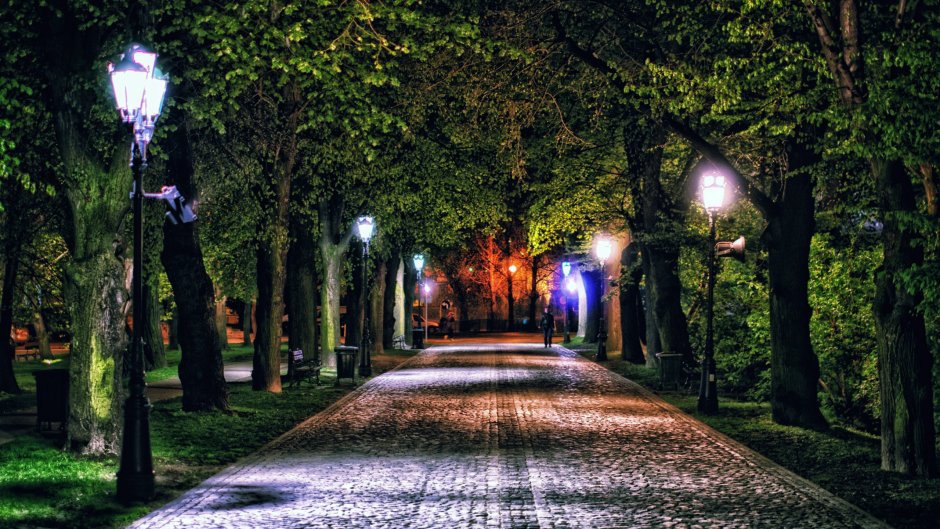 Парк дорожка фонари