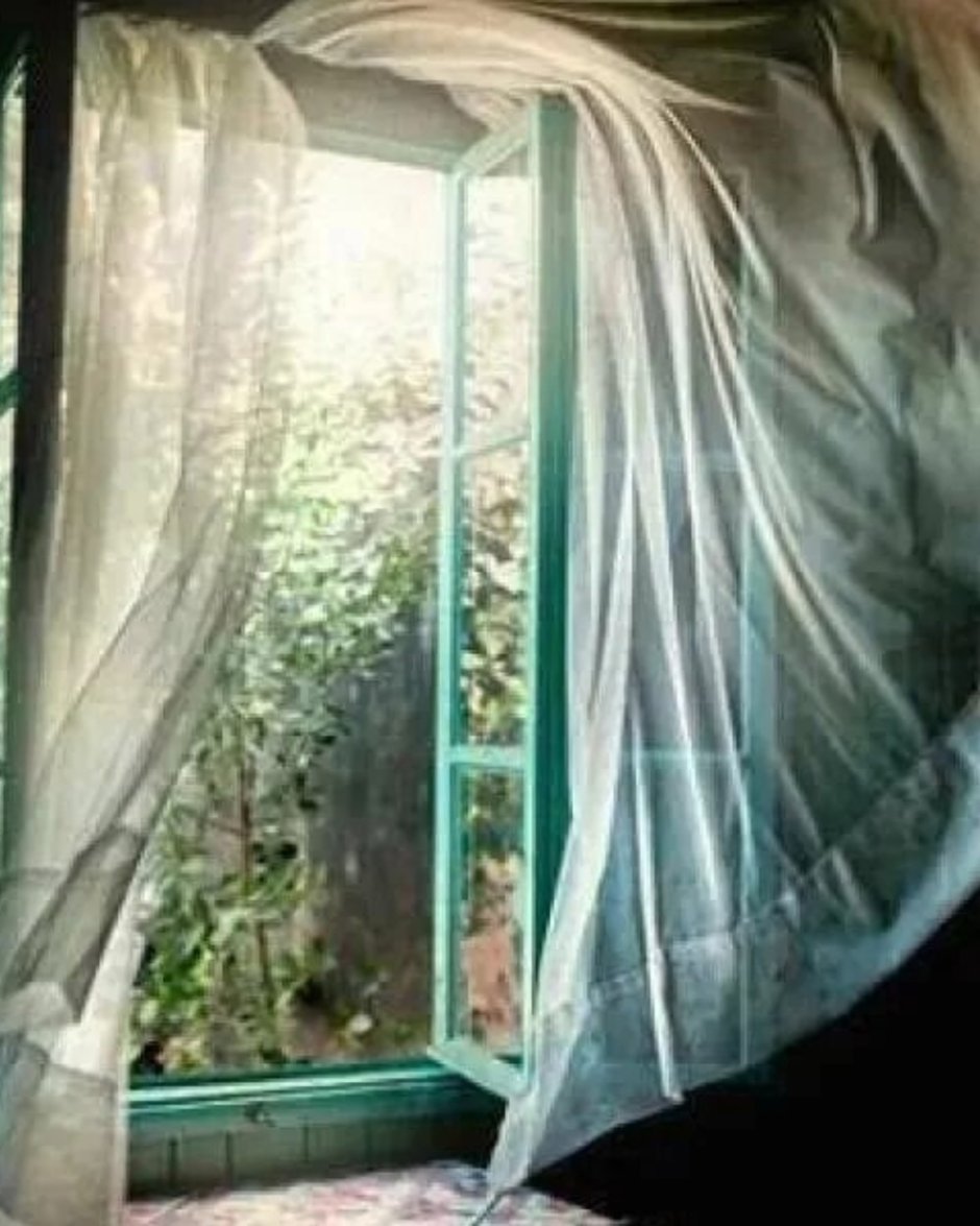 Открытое окно с занавесками