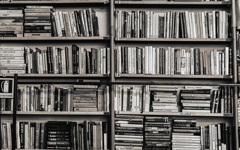 Книжная полка черно белая