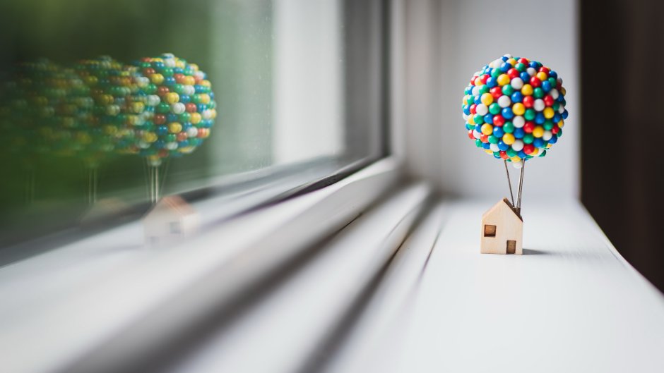 Шариков в окне