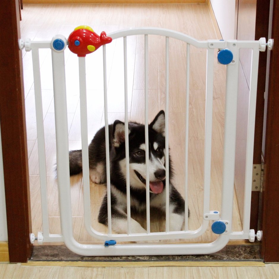 Ограничитель для двери от собак