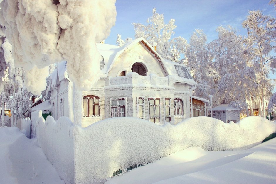 Александр Шумай Сургут
