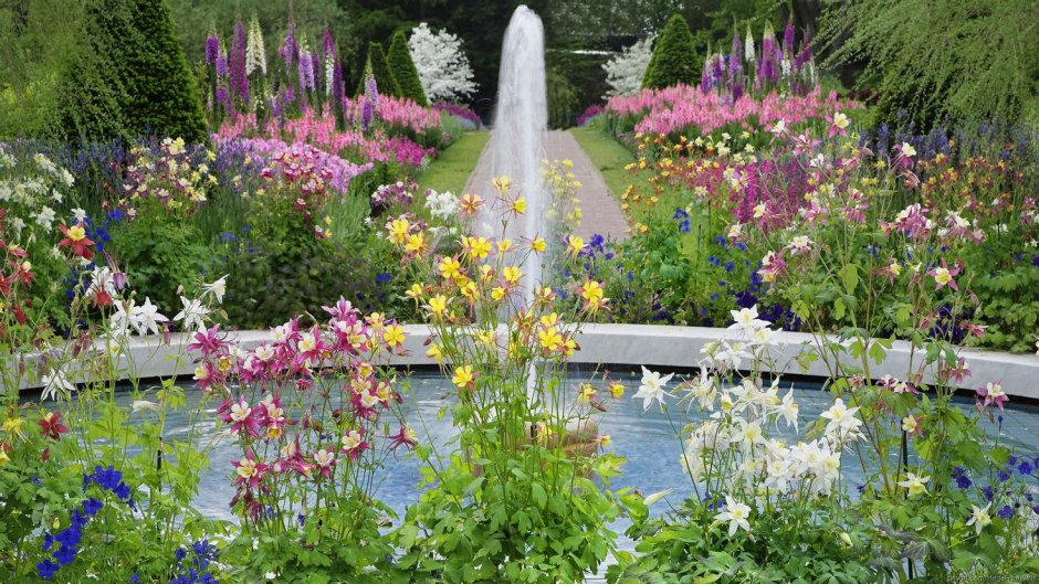 Красивый сад цветов с фонтаном
