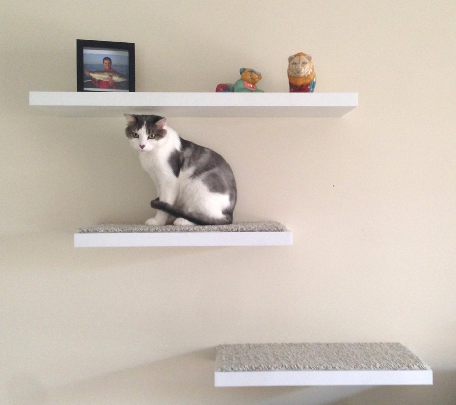 Полка для книг и кошек на стену