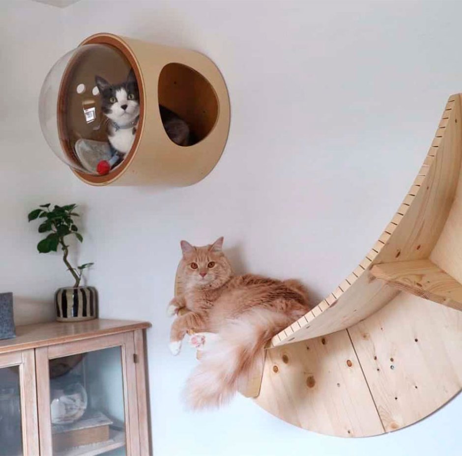 Необычные домики для кошек