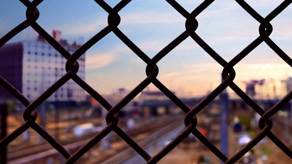 Забор сетка Эстетика