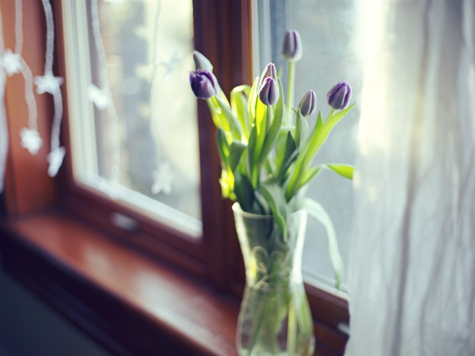 Букет тюльпанов на окне