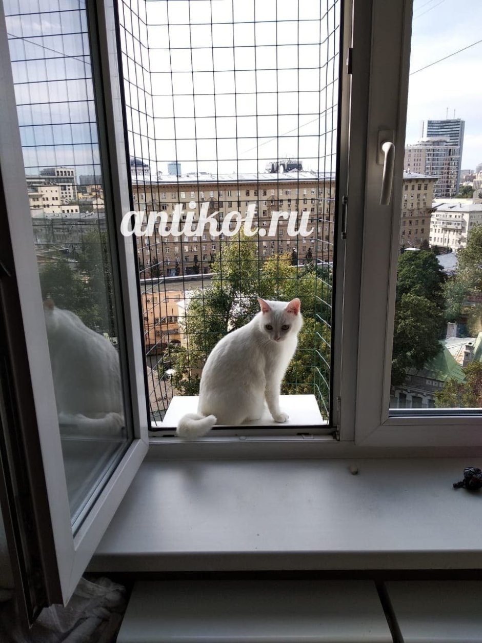 Балкончик для кошки на окно