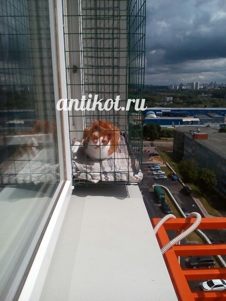Выносной балкон для кошек на окно