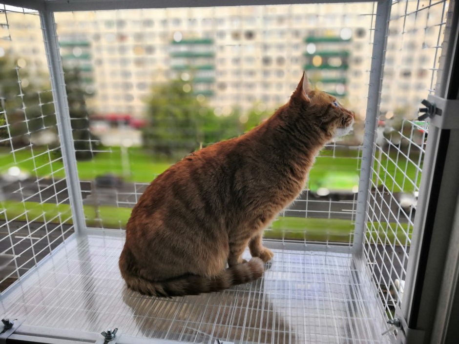 Съемный балкон для кошек