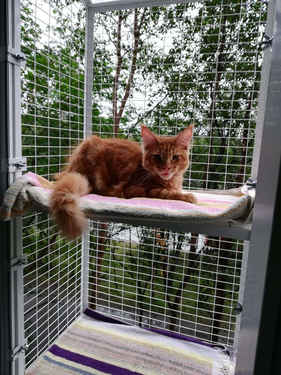 Съемный кошачий балкончик
