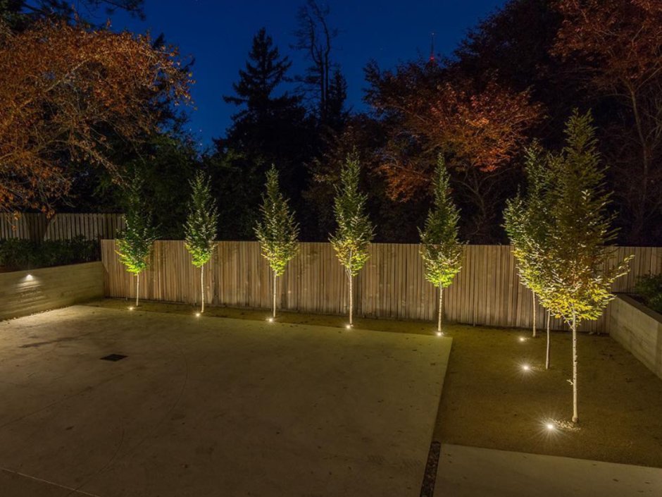 Ландшафтные светильники для подсветки деревьев
