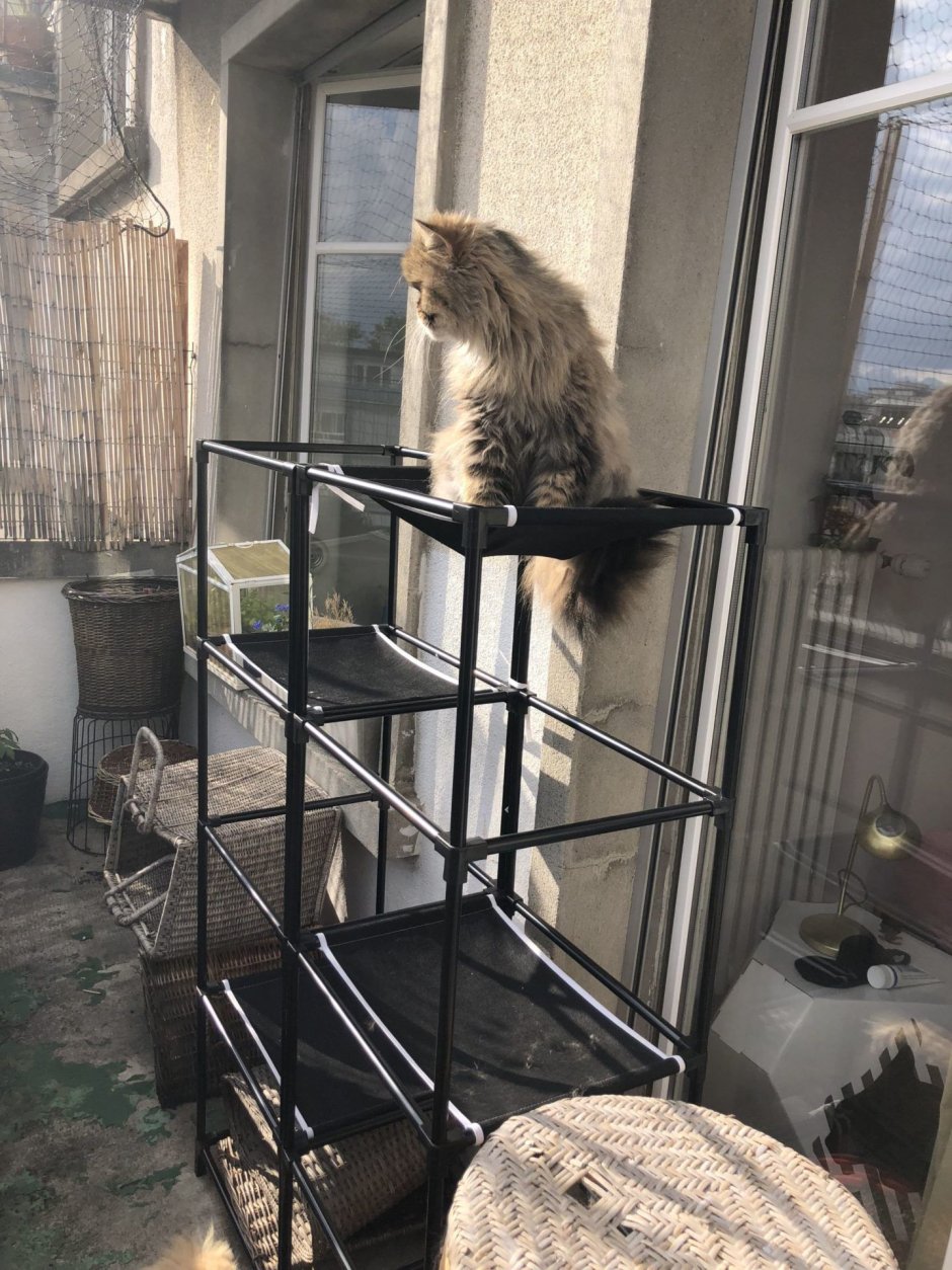 Домик для кота на балконе
