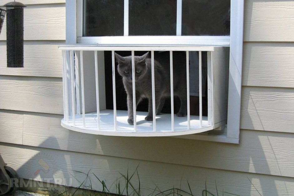 Кошачий балкон
