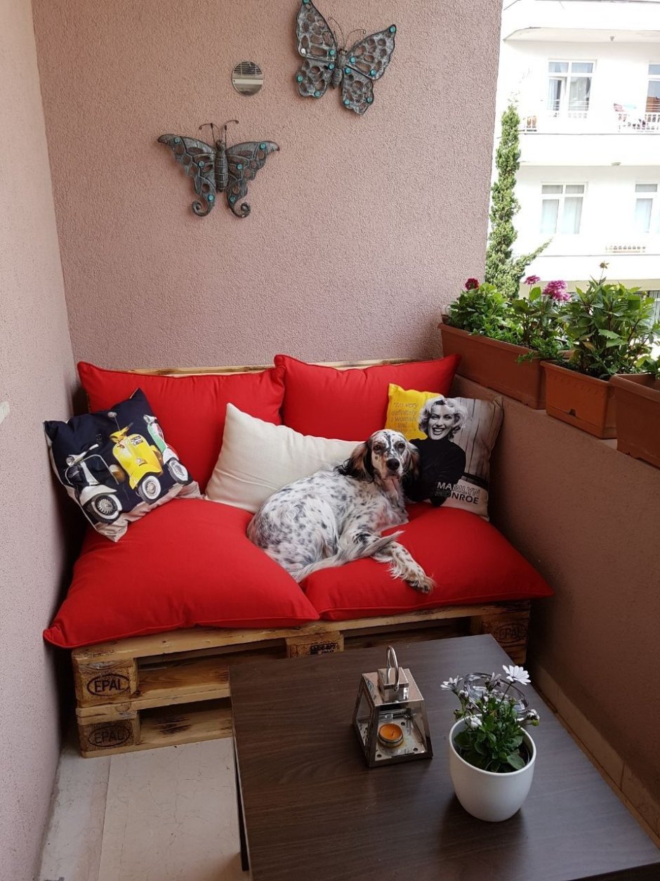 Лежанка для кота на балконе