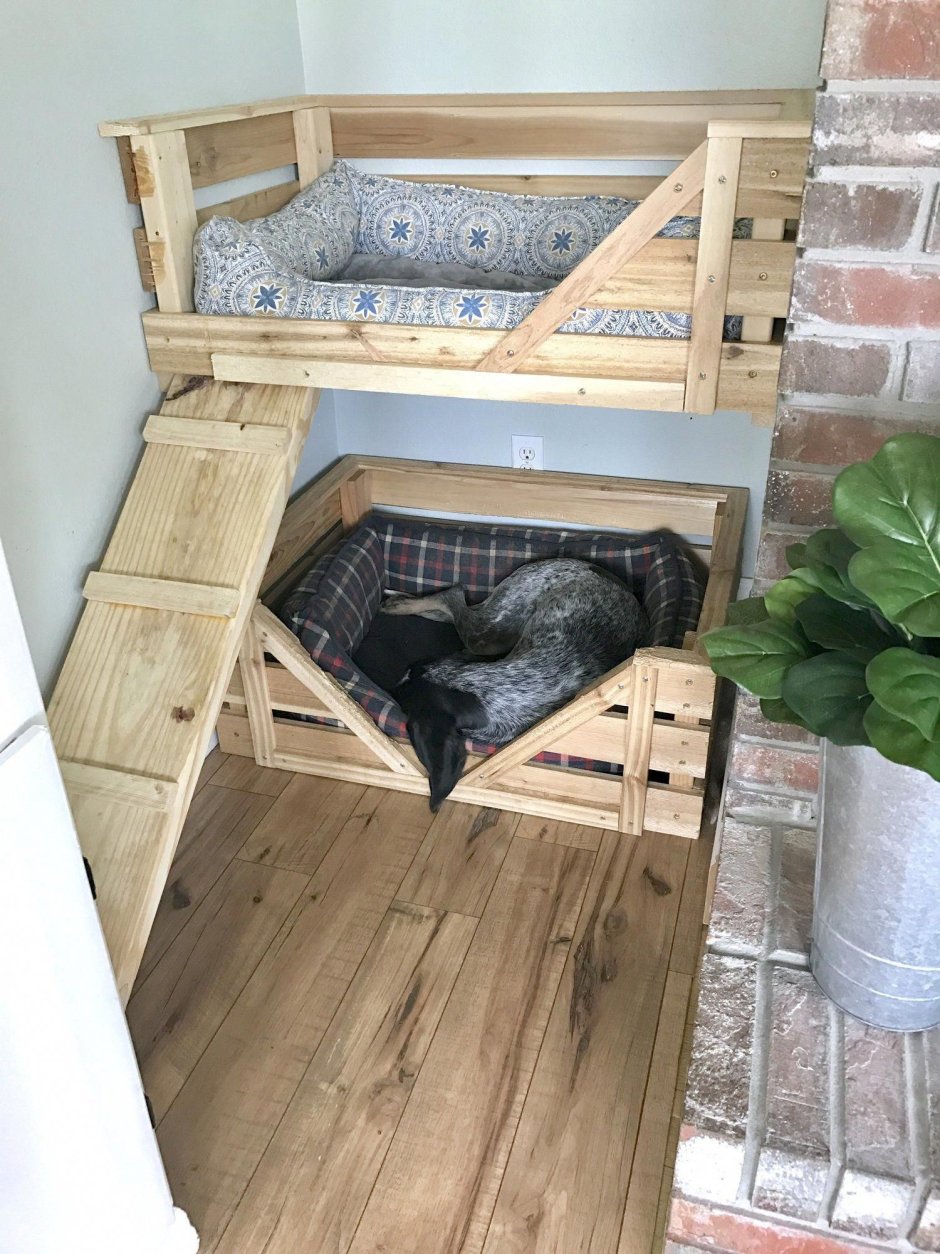 Спальное место для собаки