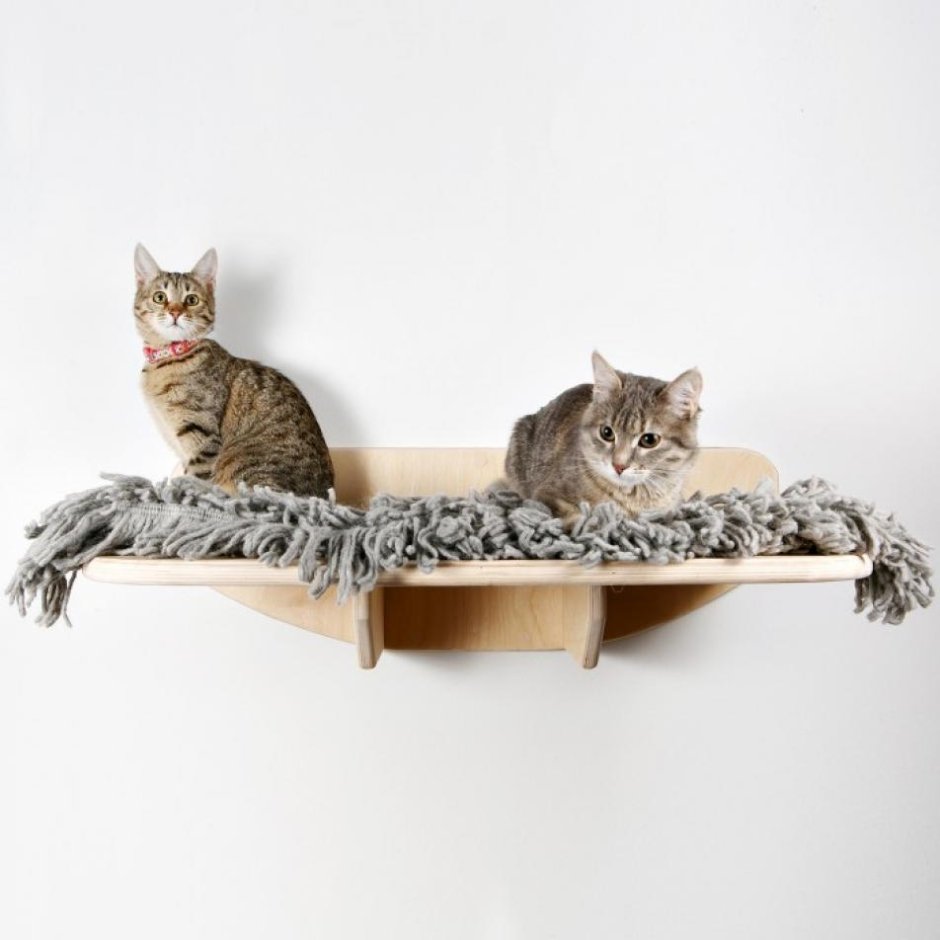 Настенные полочки для кошек