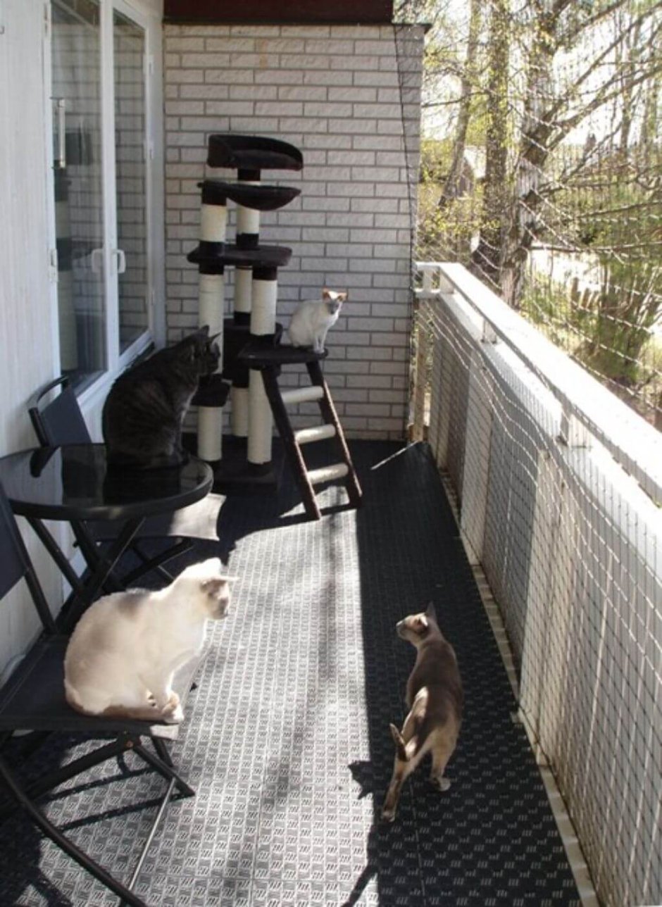 Домик для кошки на балконе
