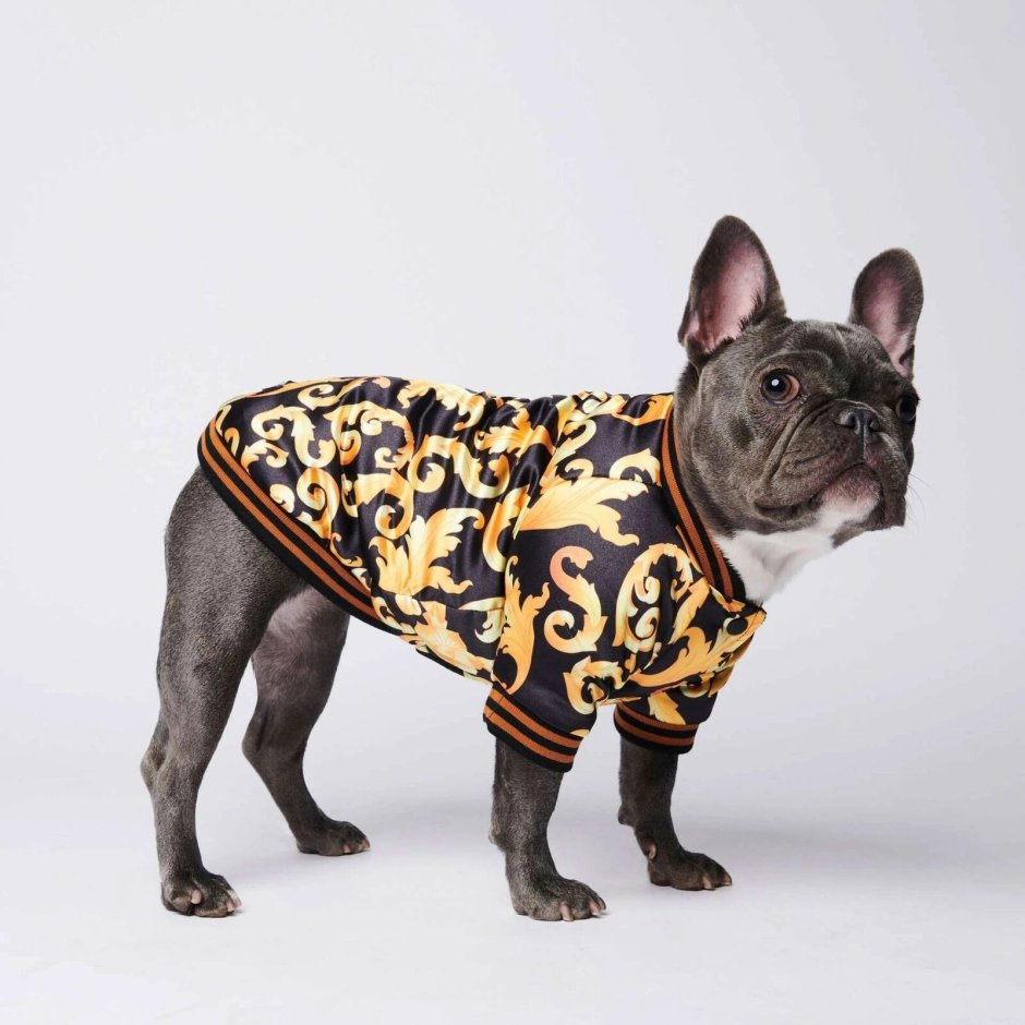 Frenchie одежда для собак
