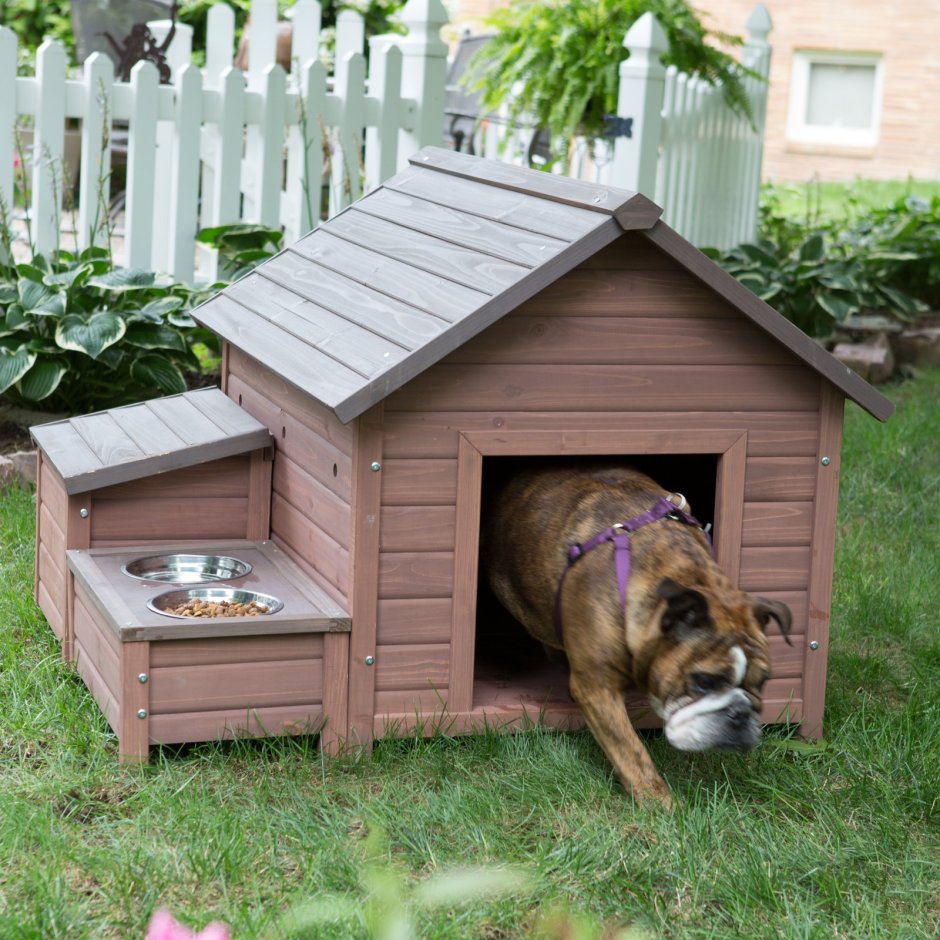 Современные будки для собак