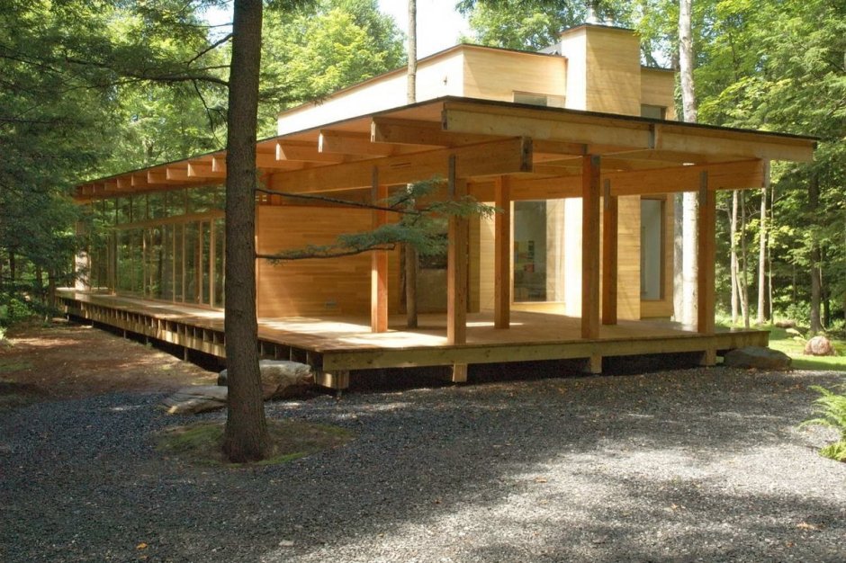 Дом на сваях в лесу деревянный