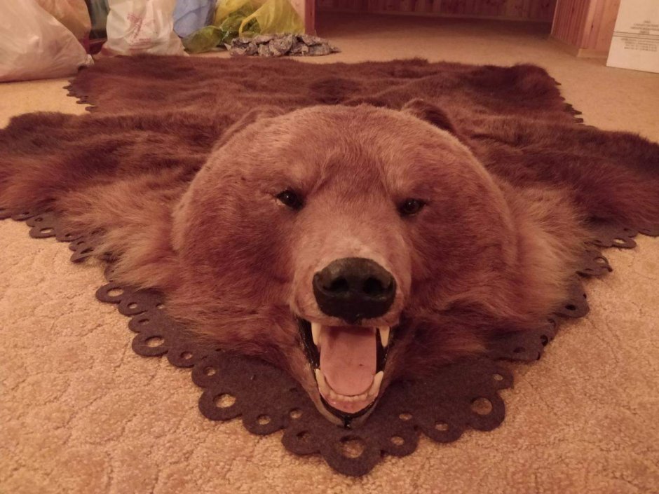 Коврик из медведя