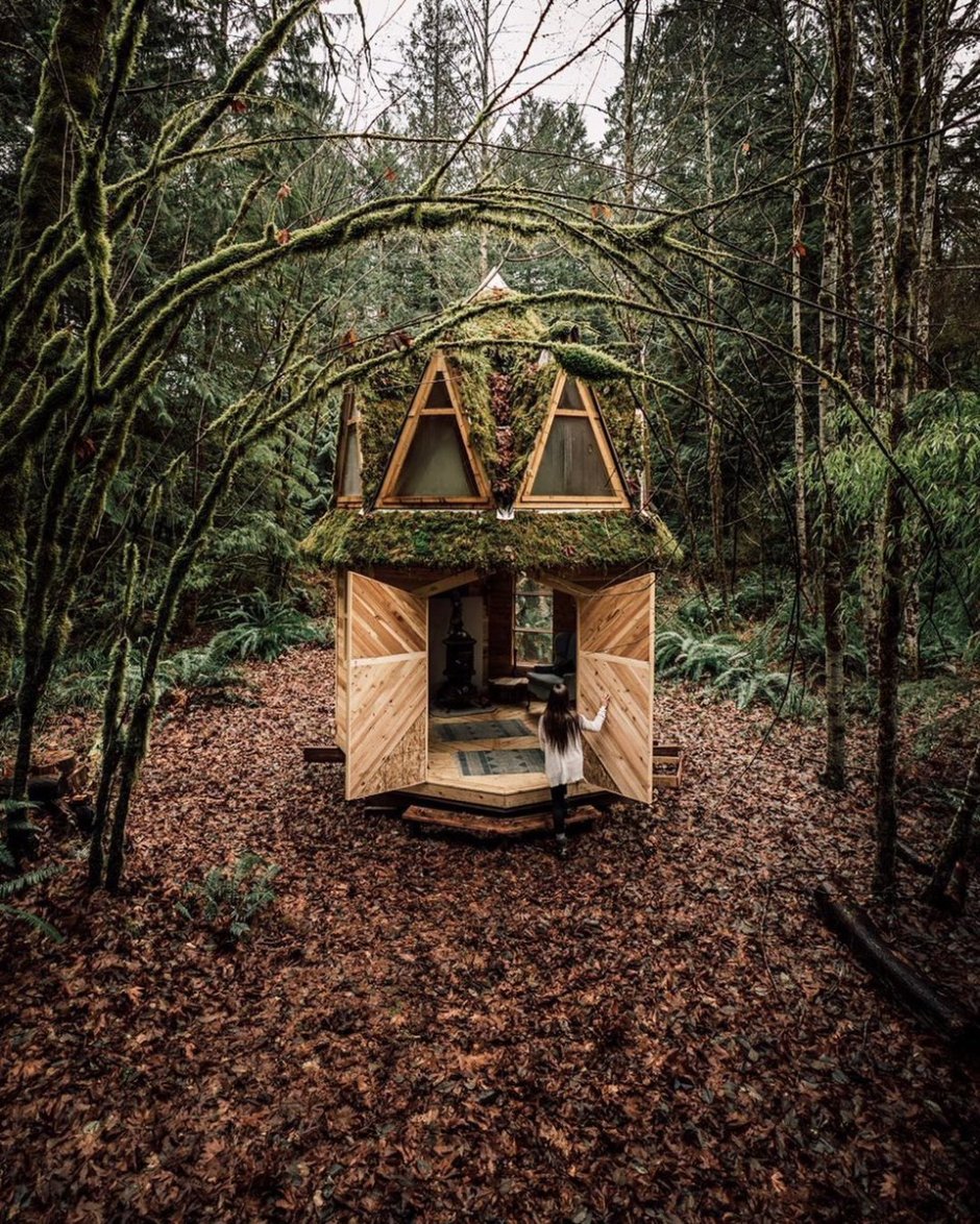 Необычные Лесные домики