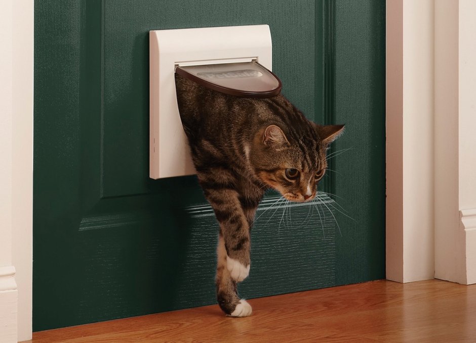 Дверка для кошек в туалет