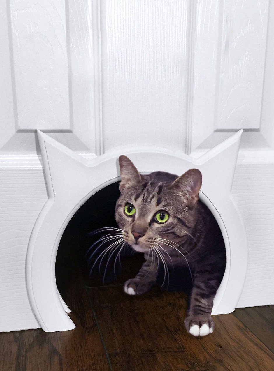 Дверь в туалет с отверстием для кота