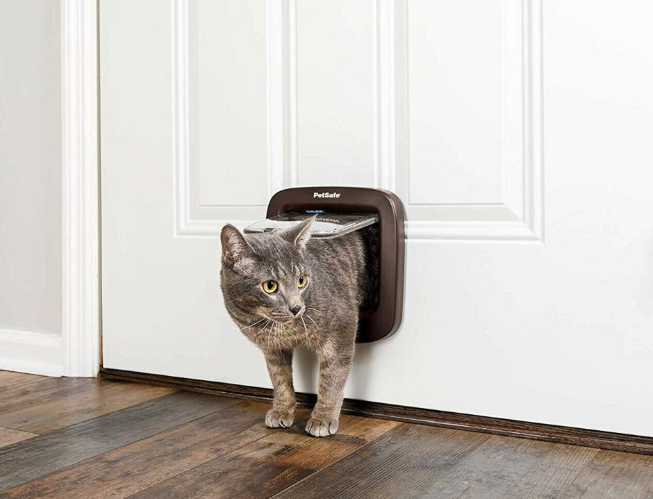 Дверка для кошек в дверь