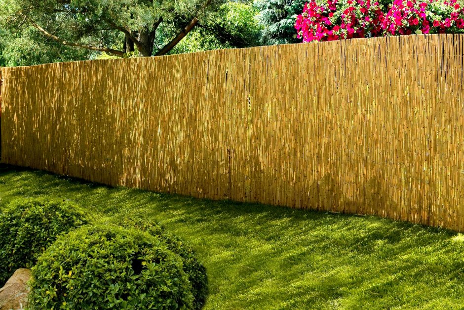 Забор из тростника "Garden show", 2 х 5 м