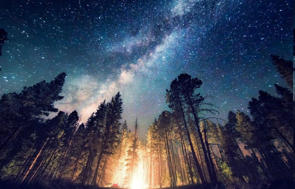 Природа космос