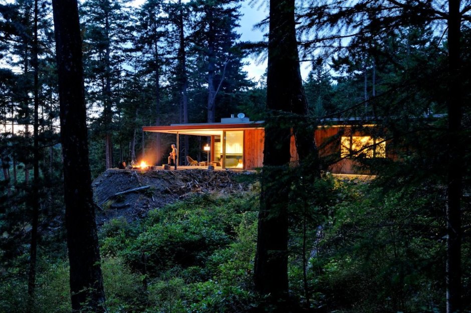 Резиденция в лесу