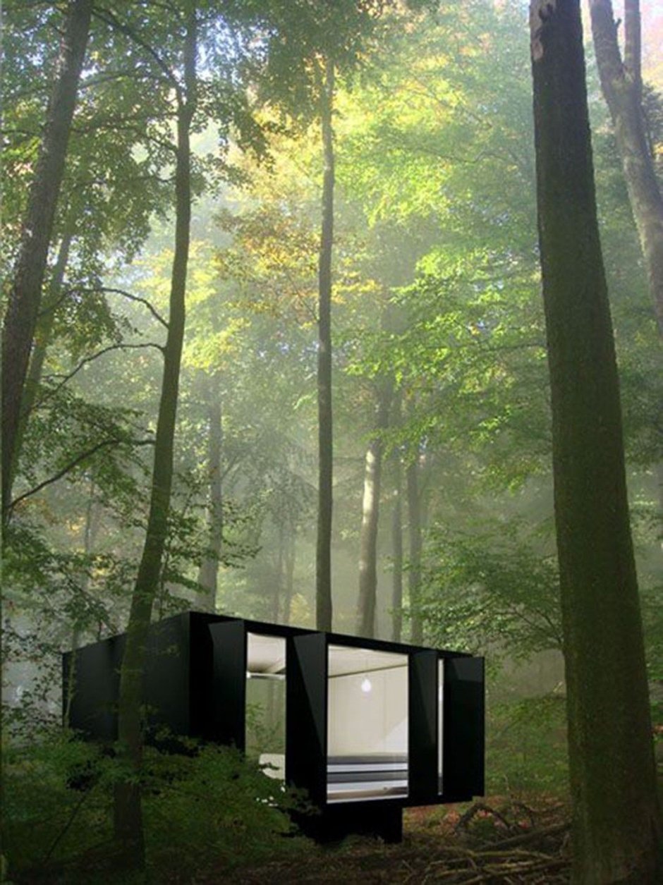 Стеклянный домик в лесу