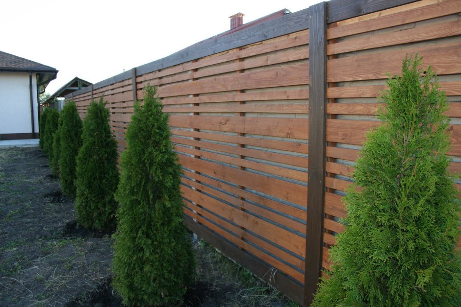Забор из деревянного планкена