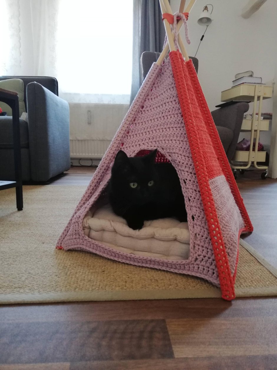 Cat Tent