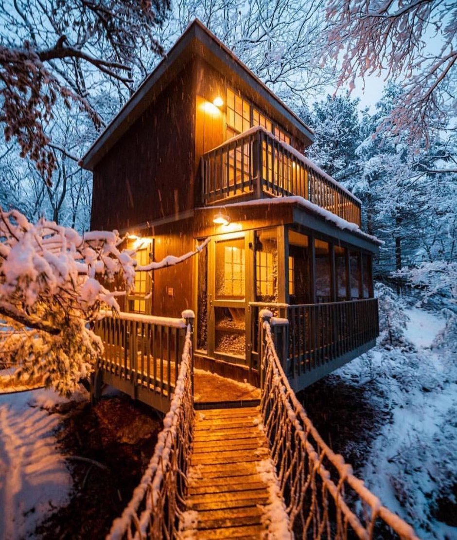 Georgetown Maine дом на дереве