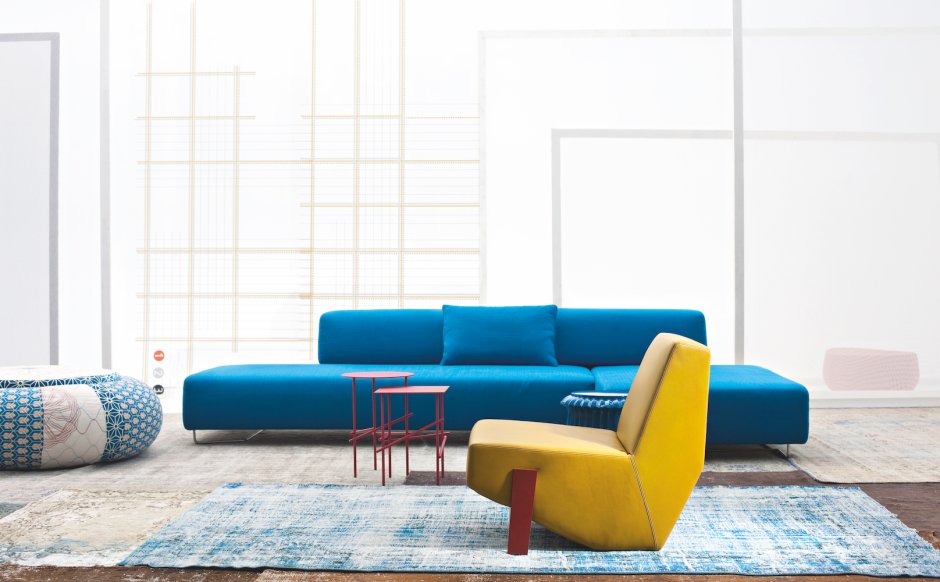 Lowland Moroso