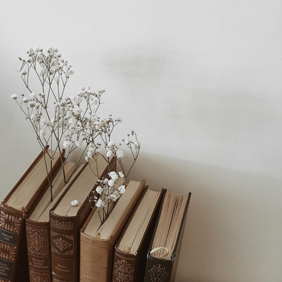 Эстетика книг и цветов