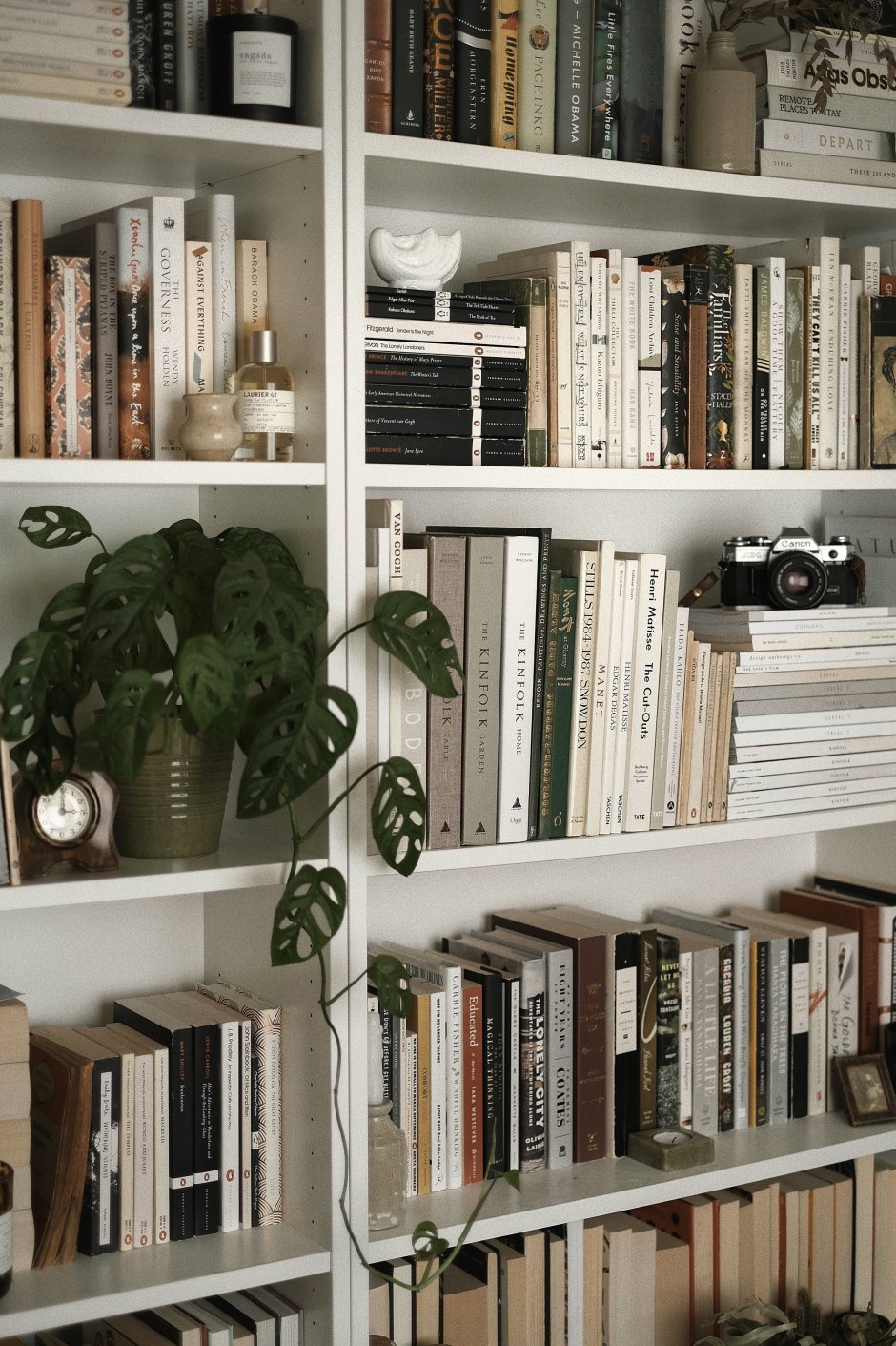 Bookshelf aesthetic