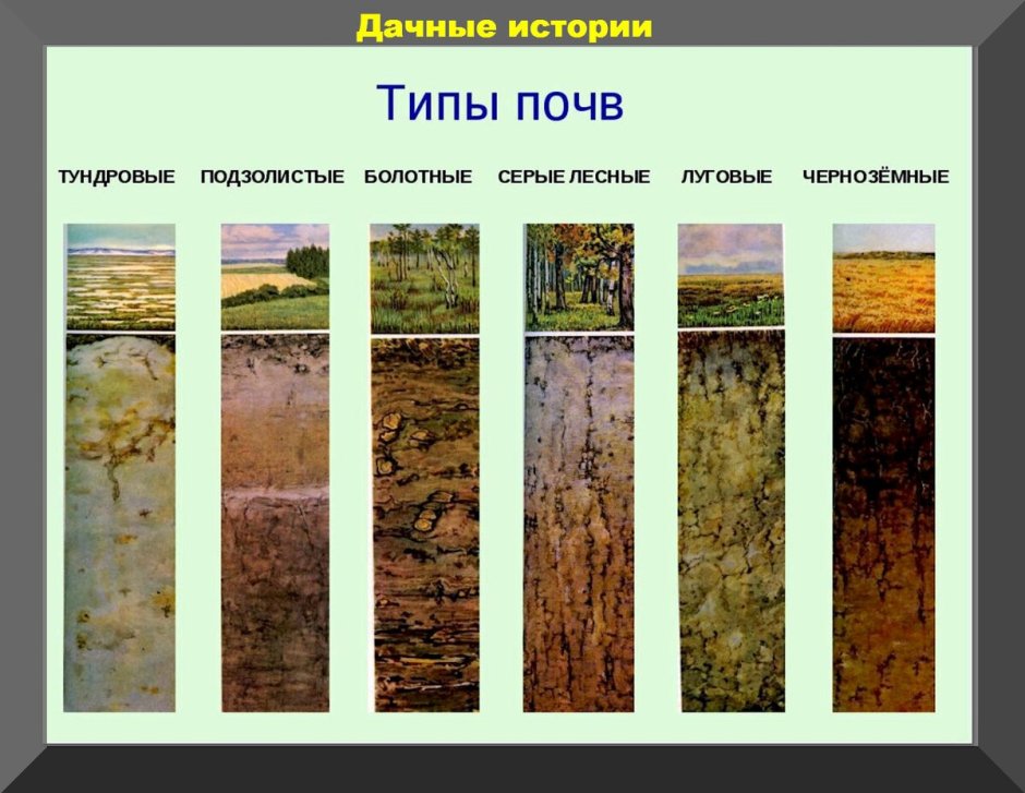 Дерново-подзолистые почвы характеристика почвы