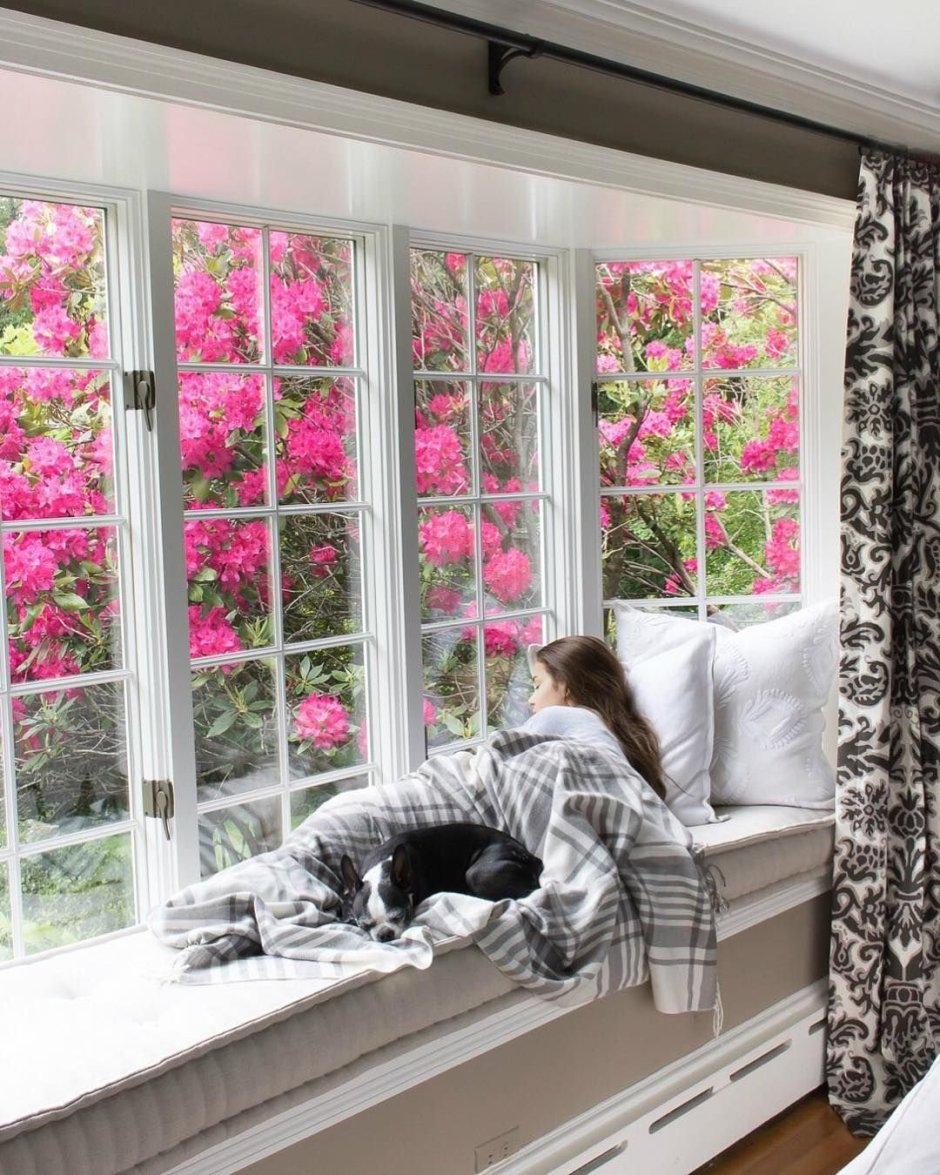 Окно панорамное с подушкам
