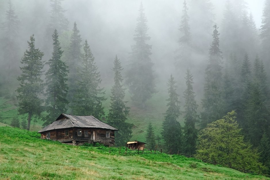 Деревенский домик в лесу