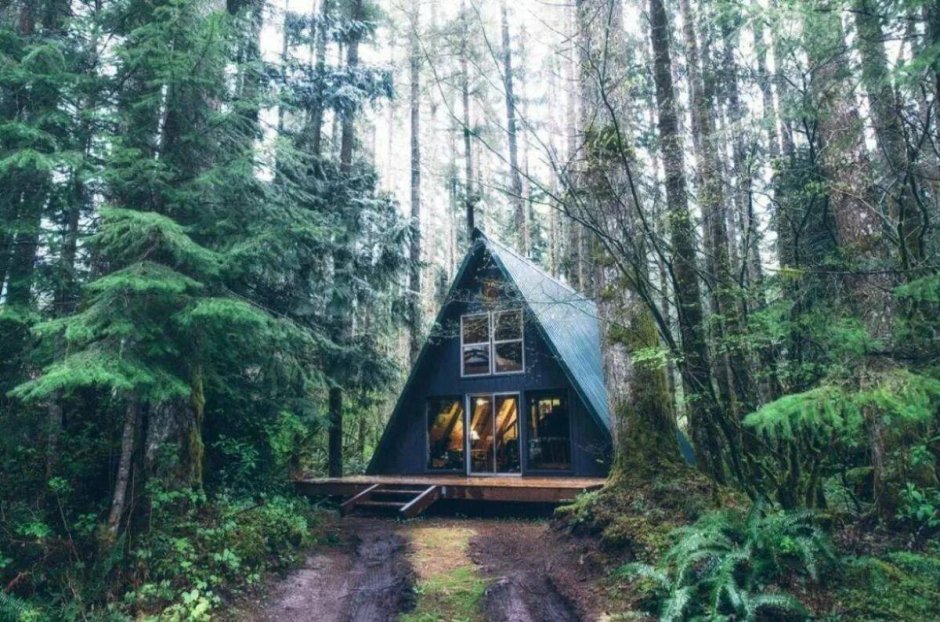 Forest House Хижина в лесу