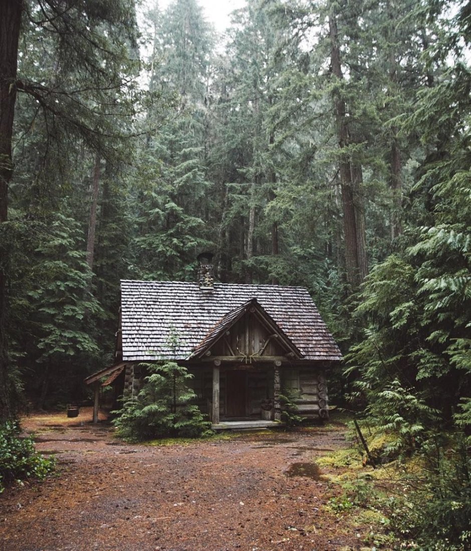 Forest House Хижина в лесу