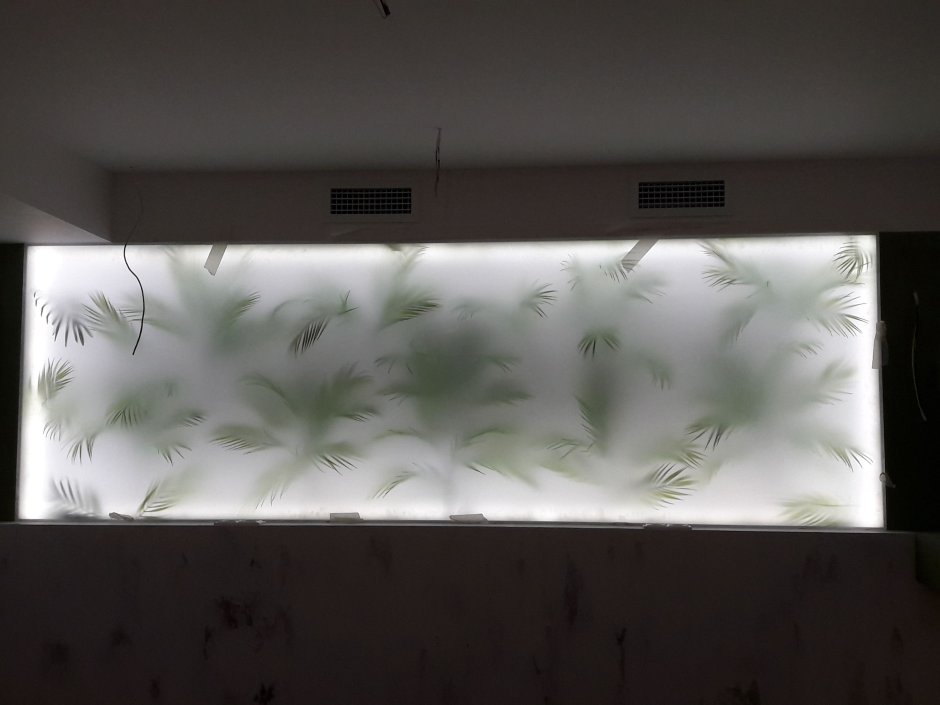 Растения за стеклом с подсветкой