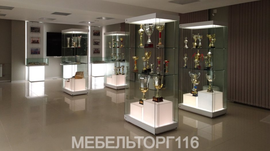 Музейная витрина вм1300