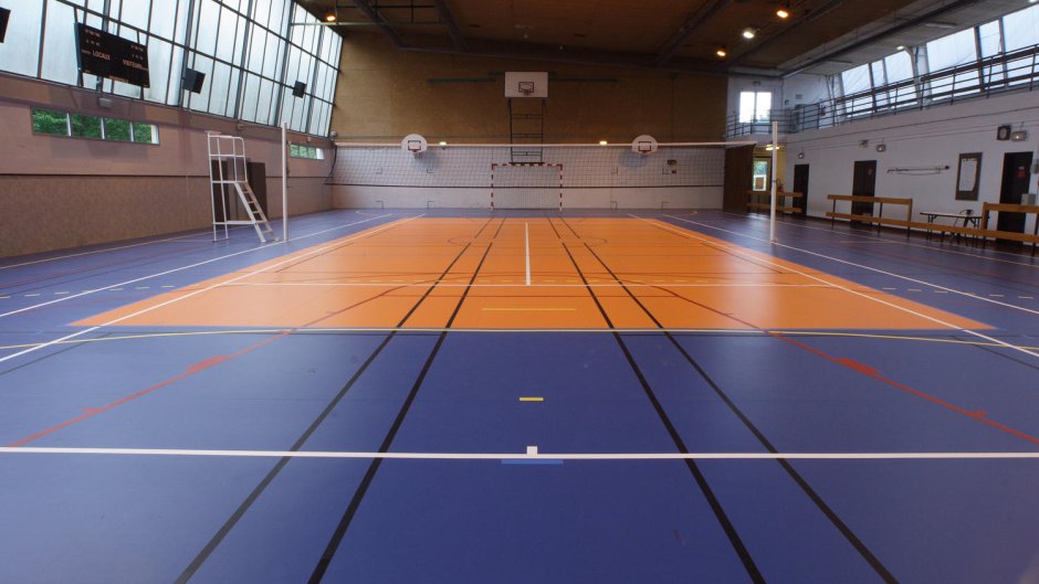 Спортивное покрытие Omnisports r35