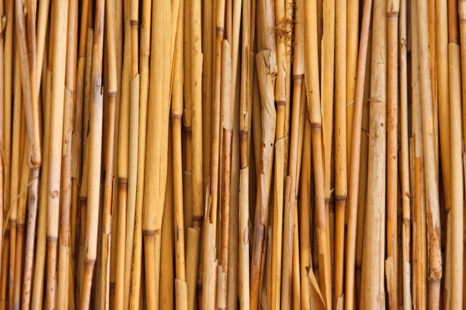 Bamboo "Bamboo (LP)"