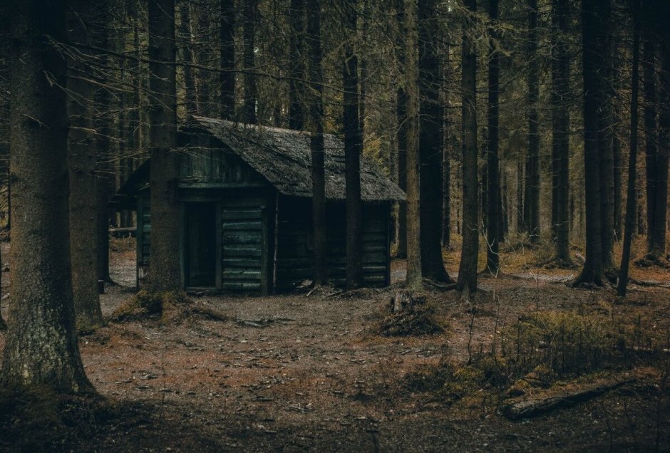 Жуткий дом в лесу
